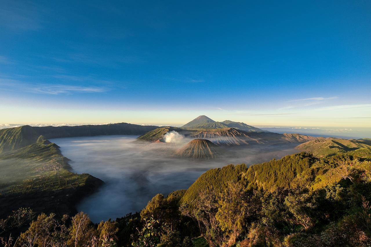 Grand Whiz Hotel Bromo Eksteriør billede